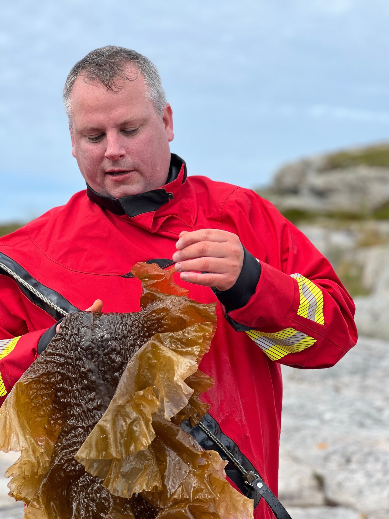 Derfor bør du spise mer tang og tare